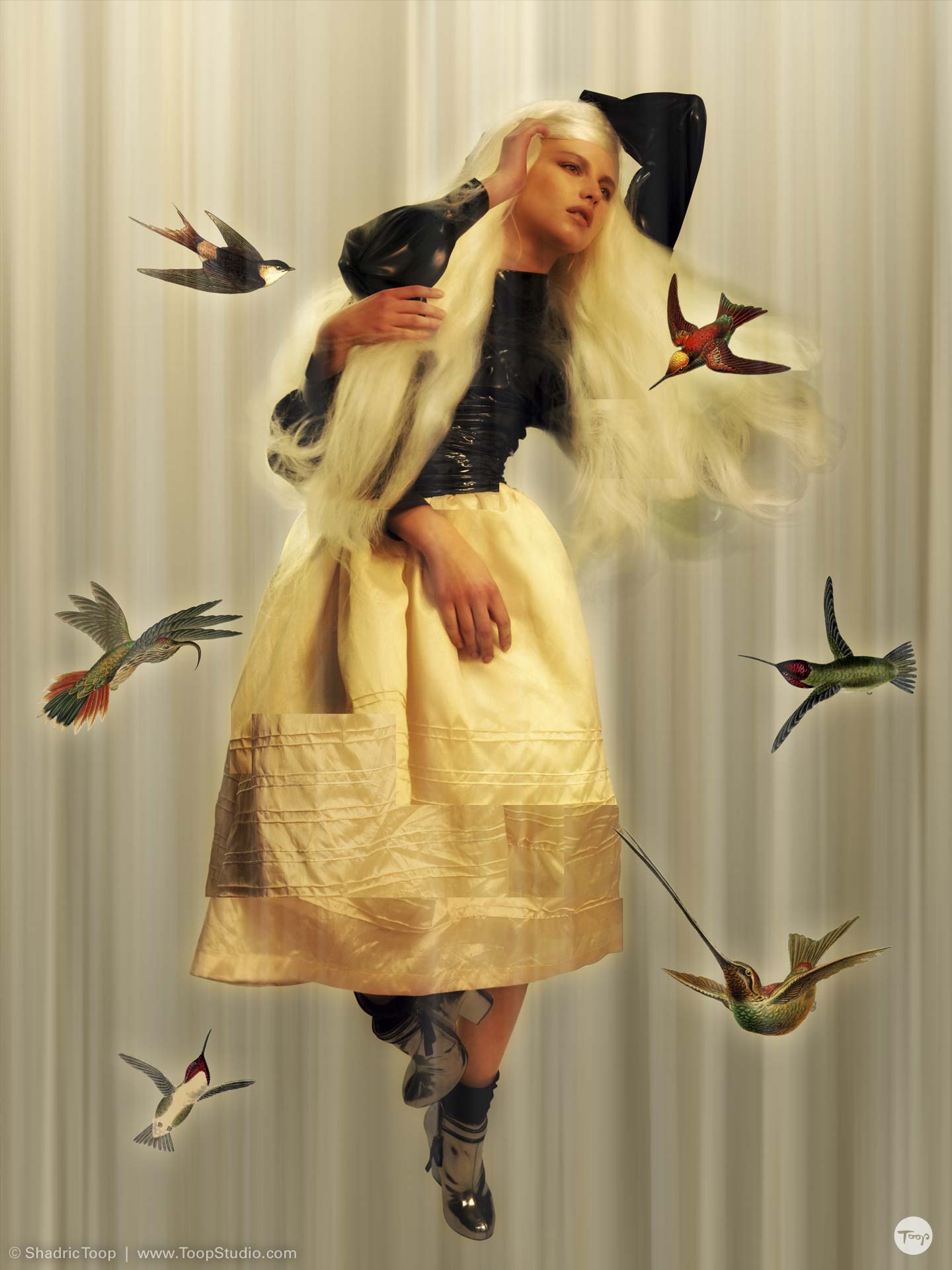 Stylized photographic collage of a model with long hair against an abstract moving background surrounded by exotic birds - work by Art Director Illustrator Shadric Toop - Brighton