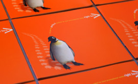 Penguin Books sales brochure cover which is brighton orange with a cutout photo of a penguin