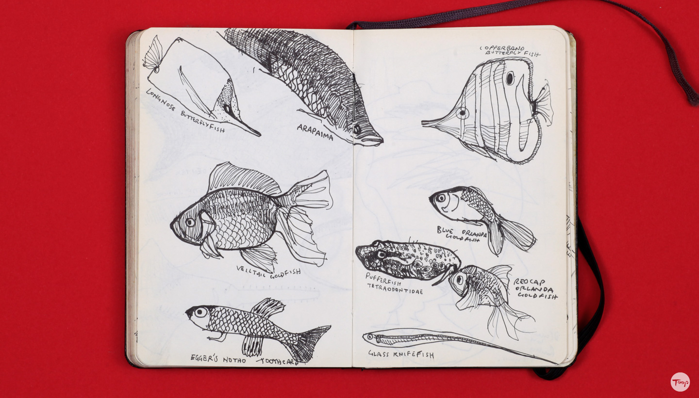 Shadric Toop page of sketchbook showing pen drawings of fish