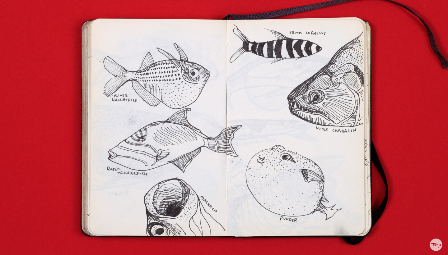 Shadric Toop page of sketchbook showing ink drawings of fish