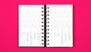 Sphere Millennium diary year to view in several wavy lines of type