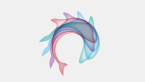 Varndean School logo comprising of 4 dolphin shapes rotating around a common axis