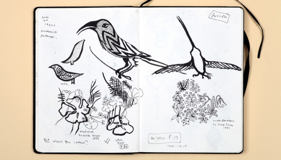 Page from Shadric Toop's sketchbook showing drawings of birds and flowers