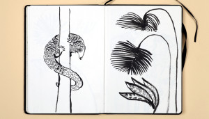 Page from Shadric Toop's sketchbook showing drawings of a pangolin and leaves
