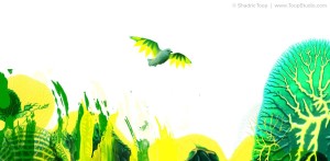 Green and yellow bird in landscape illustration made of collaged paint blobs and photography
