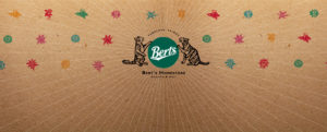 Berts Homestore - blog - brand refresh - header with Tigers and Berts logo - Toop Studio