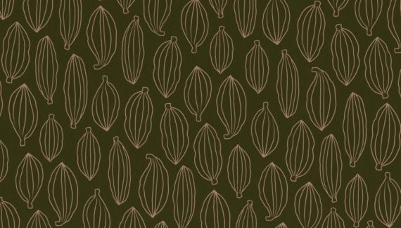 Georganics cardamom pattern illustration designed by Toop Studio