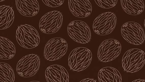 Georganics coconut pattern illustration designed by Toop Studio