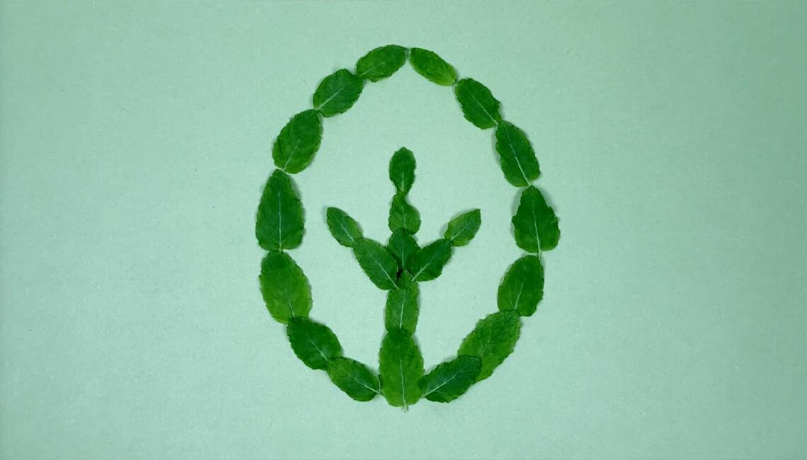 Video with Animation - Georganics - screenshot 01, frame from stop motion animation, mint leaves logo - Toop Studio