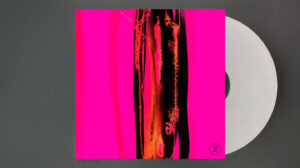Plastic Fantastic - Album Vol 2 Inner Sleeve with abstract hot pink and bleached paint - Shadric Toop